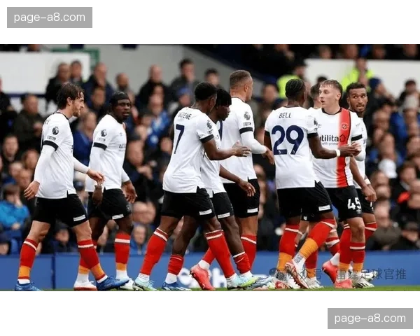 保级关键战：埃弗顿主场迎战卢顿，两队仅相差一分