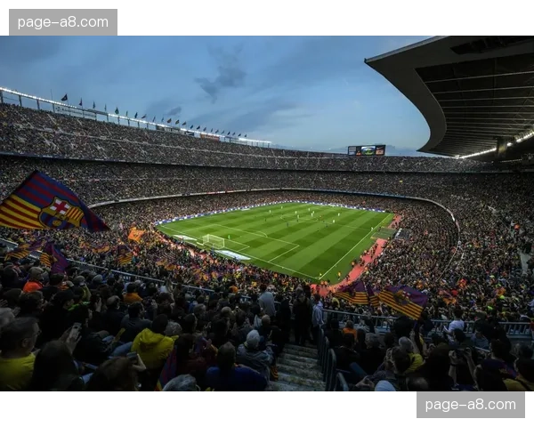 观点：球迷数据隐私面临新挑战，俱乐部收集的观赛行为信息该如何被规范使用？